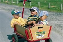 Kinder im Bollerwagen